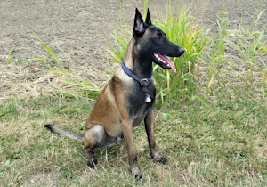 2019-08-28 quincy-300px